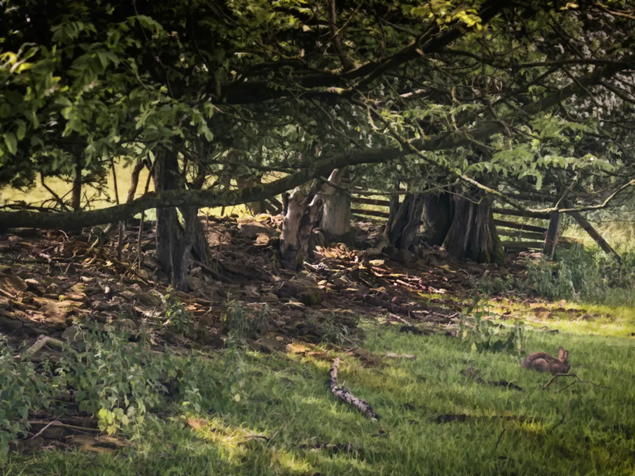 Reinforce Soil Over Winter through Cover Cropping: 6 Green Manures to Plant in Autumn