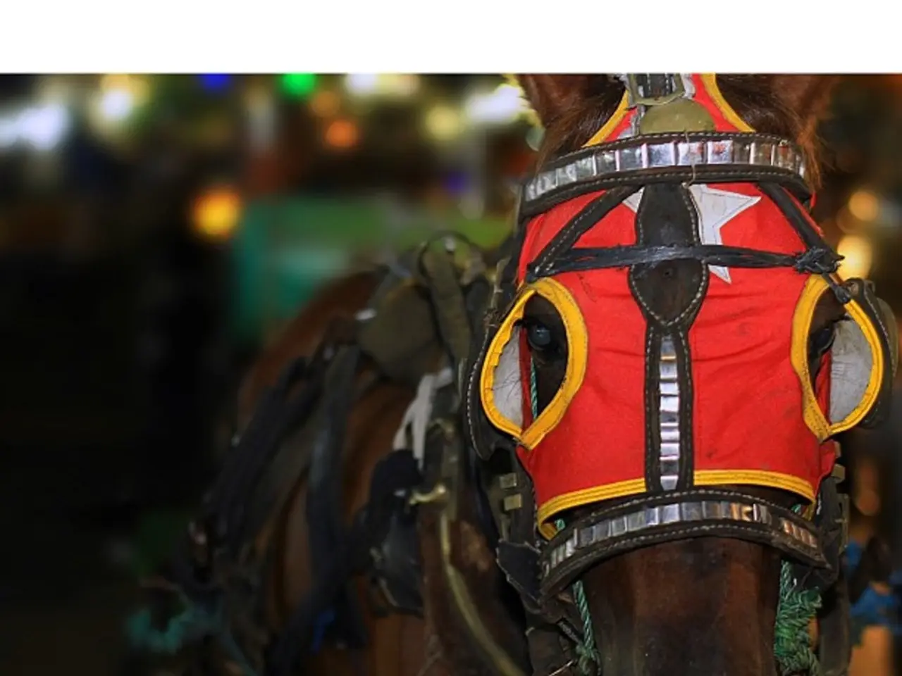 Planning a loft renovation? Here's essential information you should be aware of