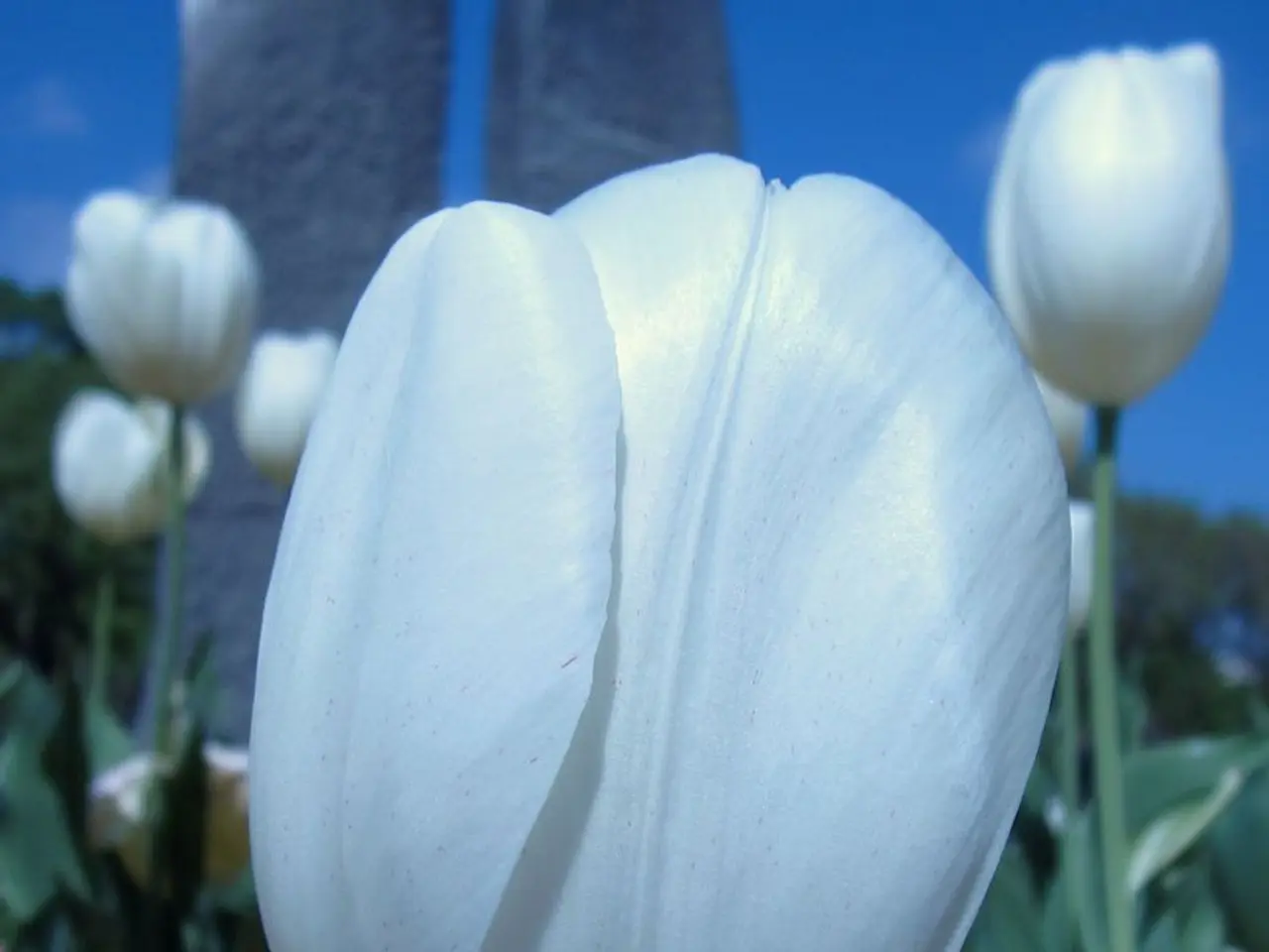 Redesign your walls using Life n Colors' latest offering, the Amazora collection