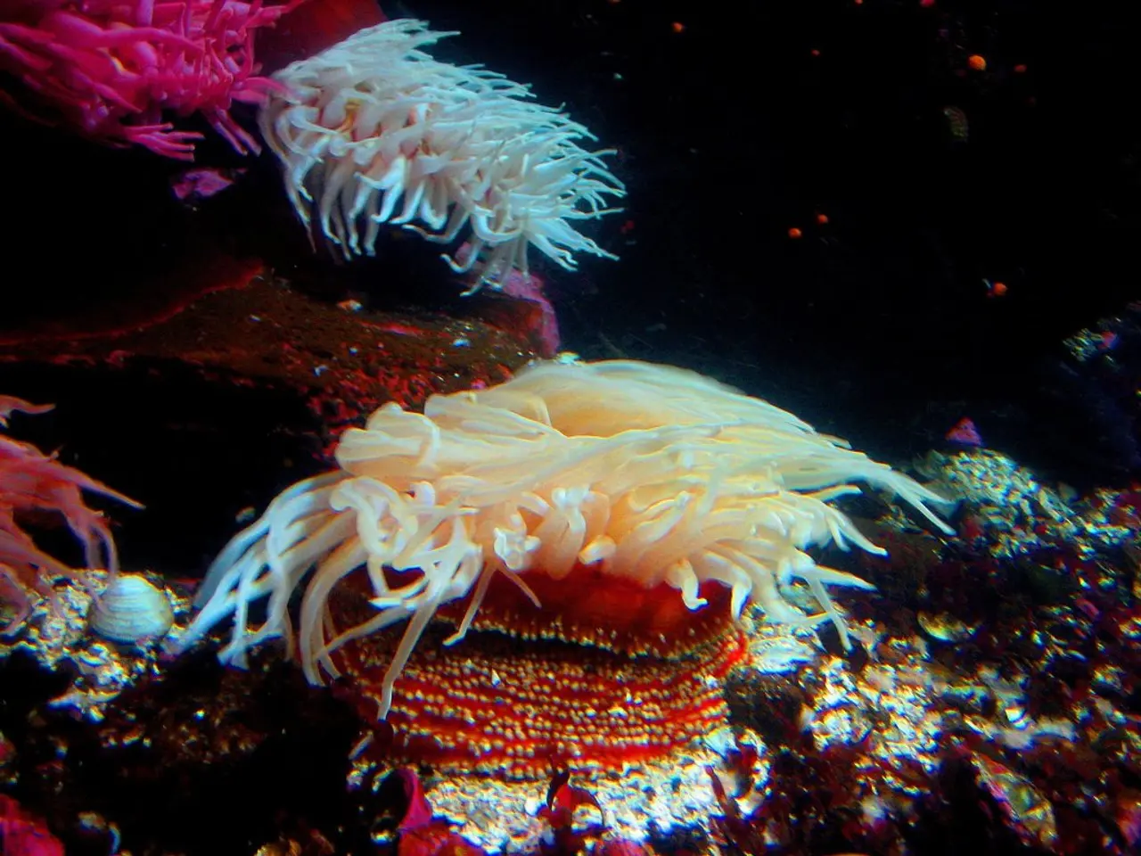 Weekly gatherings titled 'Raise the Reef Tuesdays' foster communal engagement, linking Lehigh...