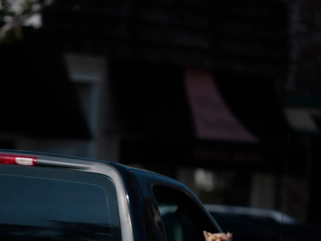 Officer rescues abandoned dog from sweltering vehicle in hotel parking lot, subsequently adopts the...