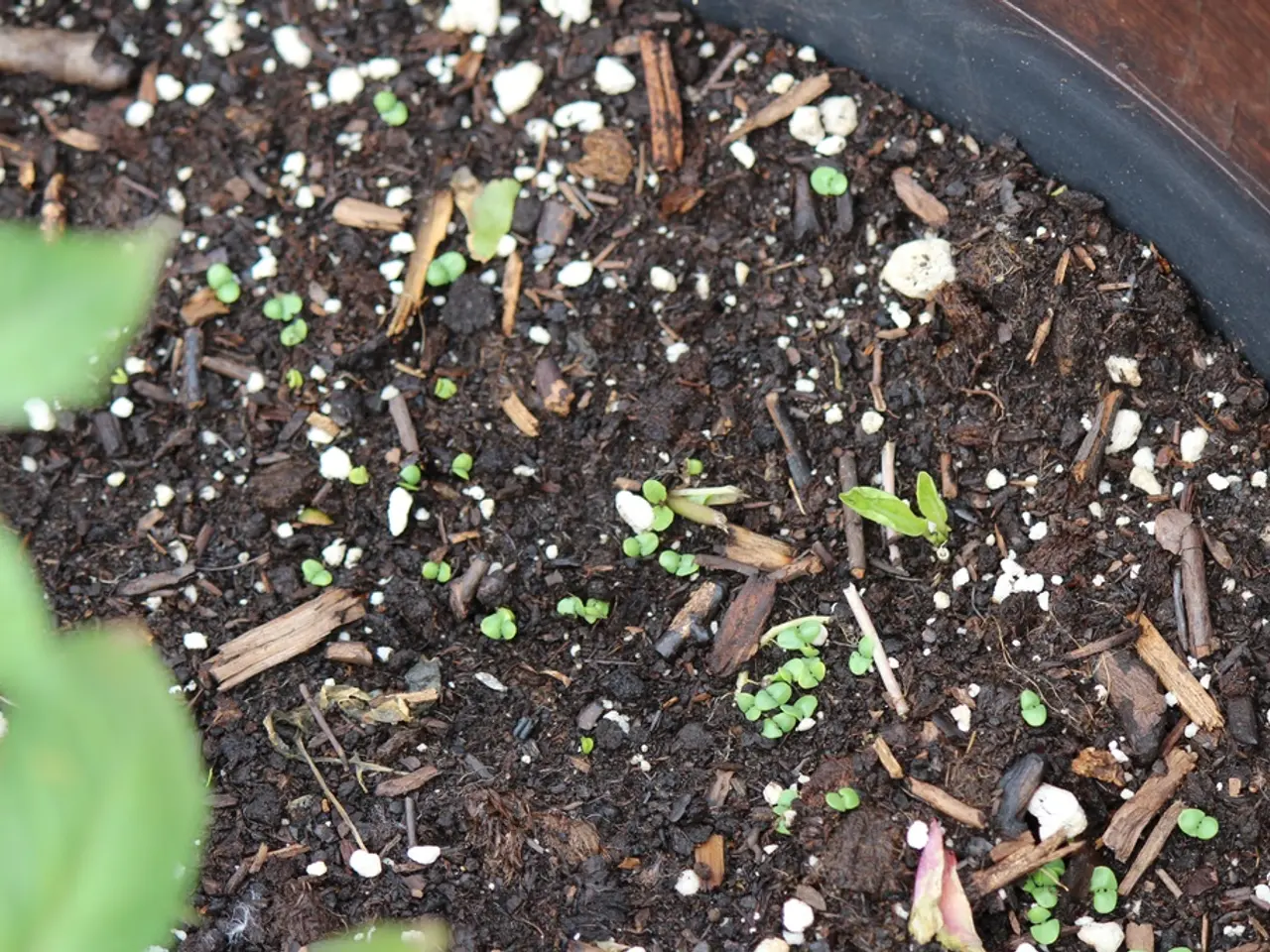 Composition of Soil Explained