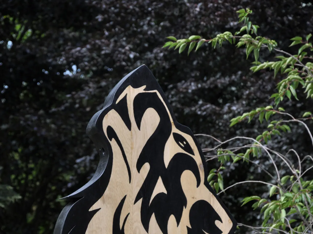 Is it acceptable to utilize fence paint for decking? Experts offer their opinions on this question