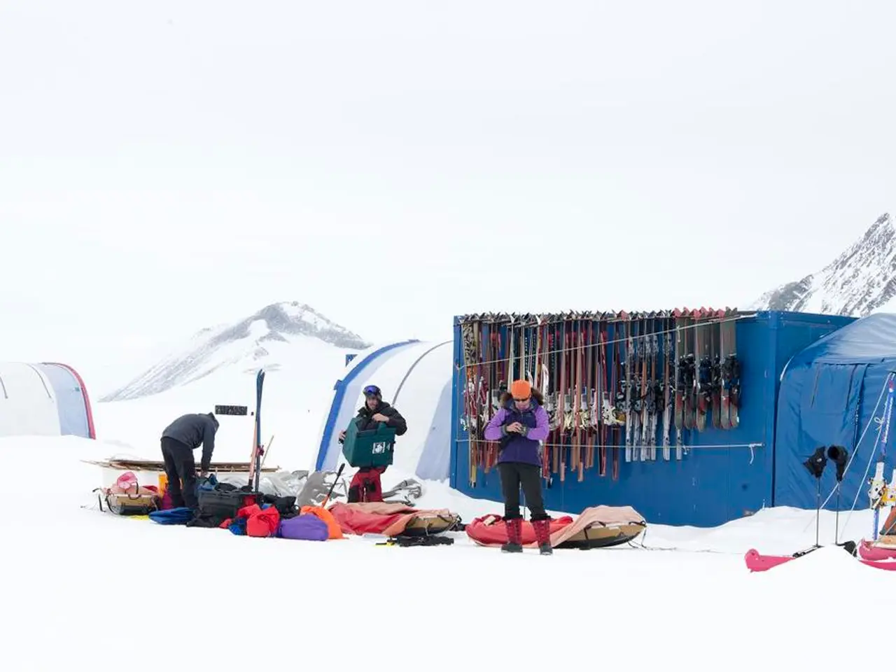 Unveiling the Details of Backcountry's Freshly Launched Membership Scheme