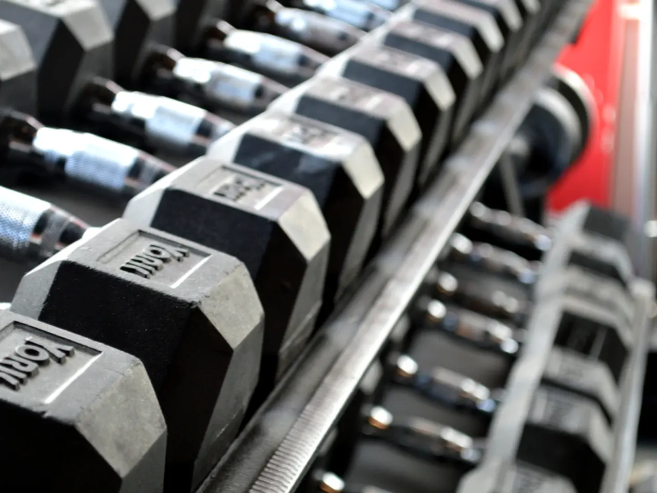 Building muscles throughout the body can be accomplished without the need for a gym; here are six...