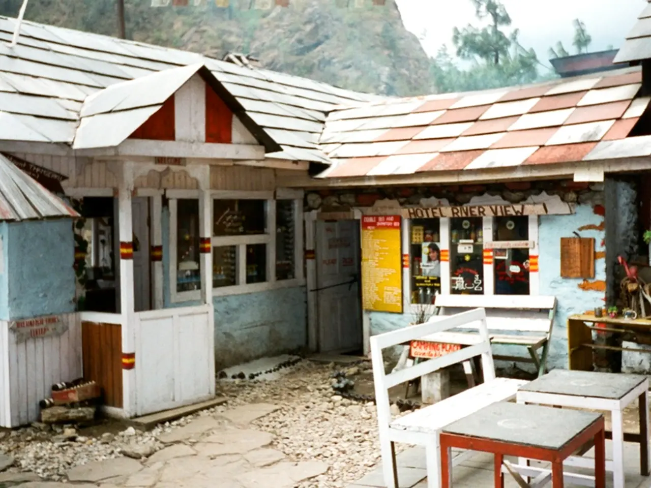 Garden owner allows garden to revert entirely to its natural, untamed state.