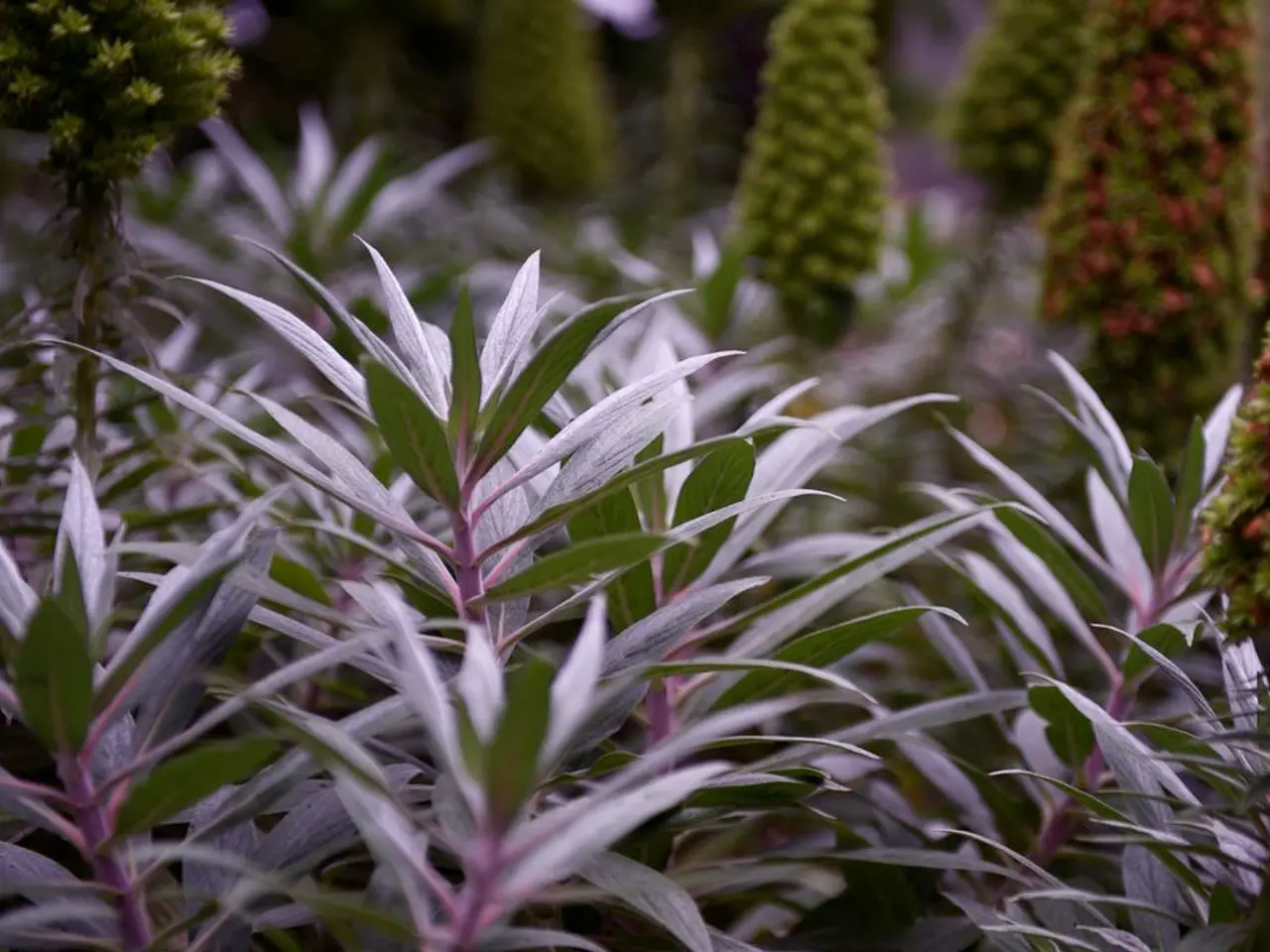 Harmful Shrubs to Steer Clear Of and Preferred Native Species for Healthy Planting