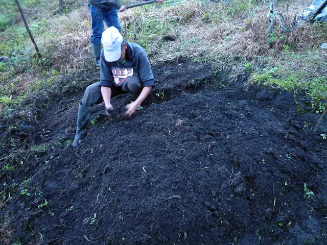 Simple Methods to Boost Your Garden Soil:effortless Tips for Prosperous, Vibrant Vegetation