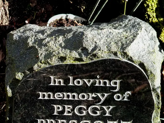 Boosting Basil Growth Speed: Crucial Tips for a Bountiful Yield