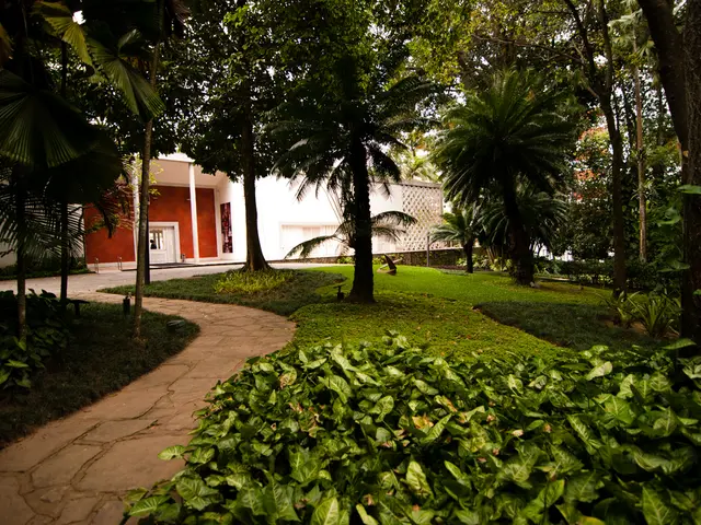 Enhancing Front Yard Landscaping: Strategies to Enhance Property Attractiveness