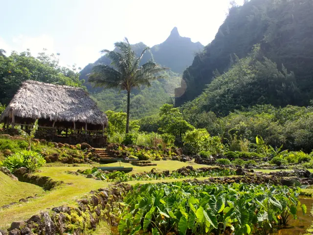 Identifying Issues with Azalea Shrubs: Recognize Maladies and Ensure Long-term Vigor