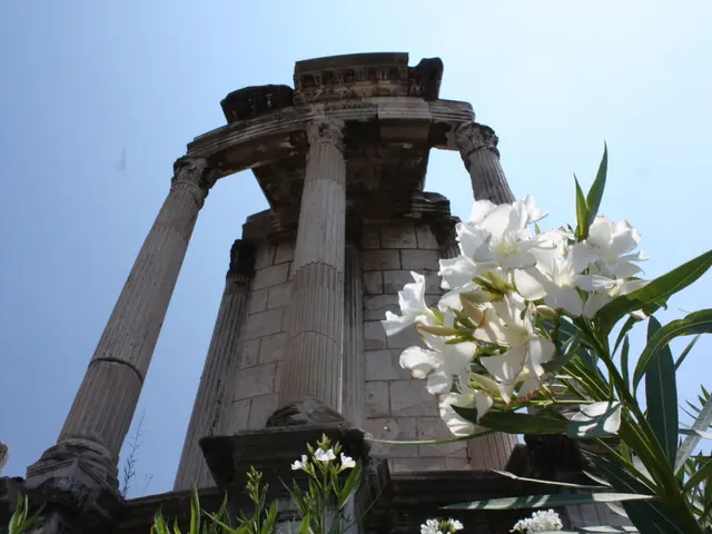 Differences and Distinctions between Terrarium, Vivarium, and Other Enclosures (Aquariums Included)...