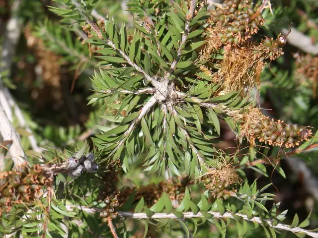 1. Cultivation Techniques for Optimal Tree Growth: A Treasure Trove of Practical Tips