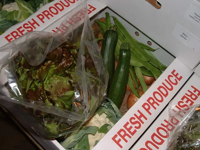 Indoor Seed Germination: A Guide to Sprouting Seeds With Unfailing Success