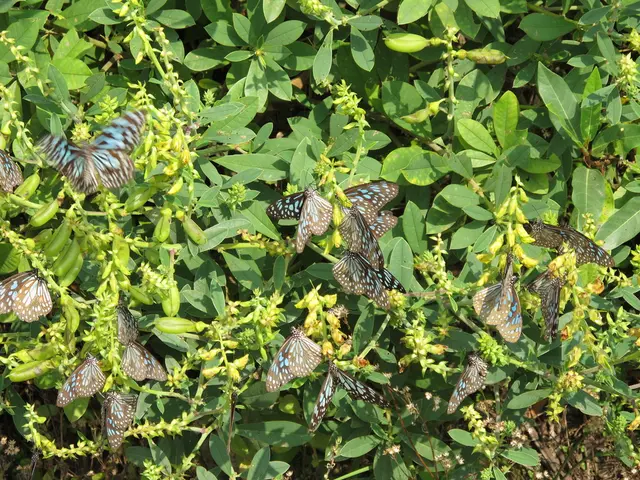 12 resolution strategies for common summer gardening difficulties