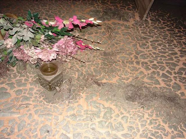 Creating a Terrarium in a Jar: Cultivate a Small, Vibrant Ecosystem