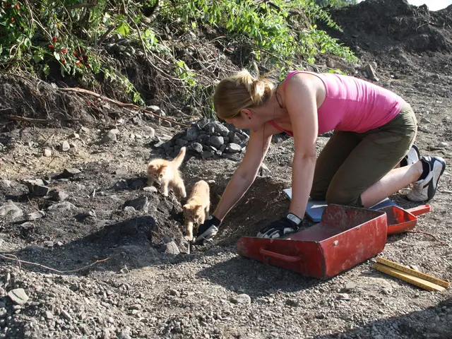 Detailed Instructions for Excavation: A Comprehensive Manual for Gardeners on How to Dig a Hole