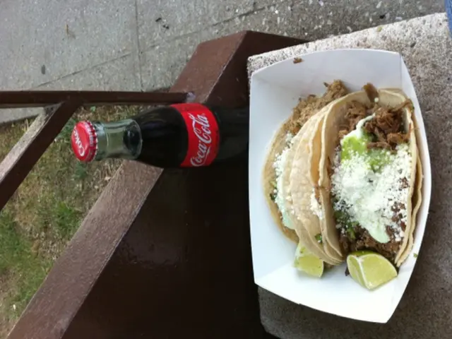 Beginners' Guide to Foraging: Essential Information to Initiate Your Wild Edible Plant Collection