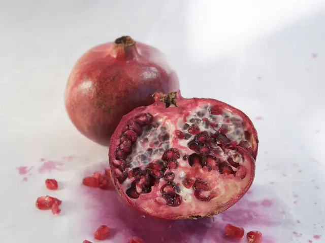 Guide on Collecting Snapdragon Seeds for Continuous Blooms Over Time