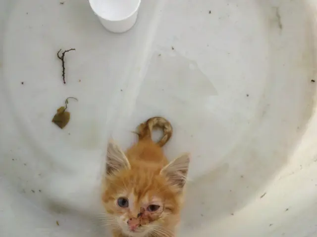 Boiler Installation and Replacement Services Available in Southampton