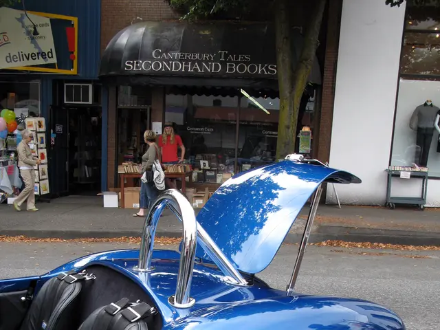 Deciding on either Domestic or Long-Distance Moving Services