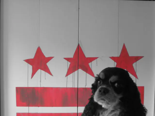 Tomorrow's event: Auction scheduled for 4 pm