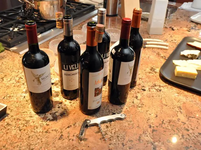 Massive Ninja Prime Day Discounts - Savor 40% Off Air Fryers, Blenders, and More with Early Price...