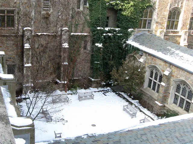 Strategies for Protecting a Pergola Year-Round: Discover 6 Methods to Enhance Your Outdoor Space...