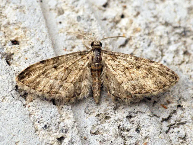 Regularly practicing this yoga asana for a fortnight unveiled significant enhancements in my...