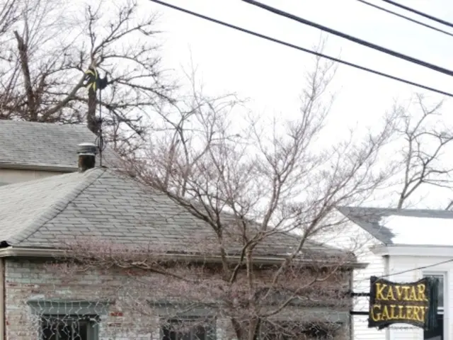 Energy-Efficient Interior Bliss: Innovative Air Conditioning Options for Contemporary Residences