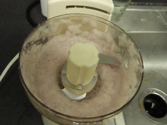 Indian Mixer Grinder by Preethi Revolutionizes Globally, Attaining Title of World's Most Powerful...