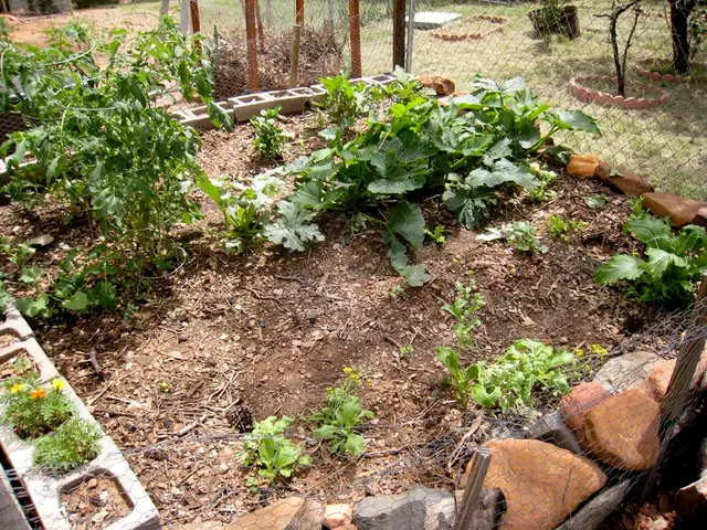 Nature's ideal substrate for plant growth: Organic Planting Soil