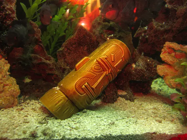 Terrarium Illumination: Top Picks for Natural and Artificial Grow Lights