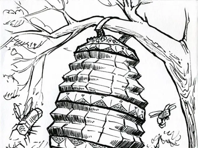 Simple Guide on Making a Homemade Hummingbird Feeder: A Step-by-Step Tutorial