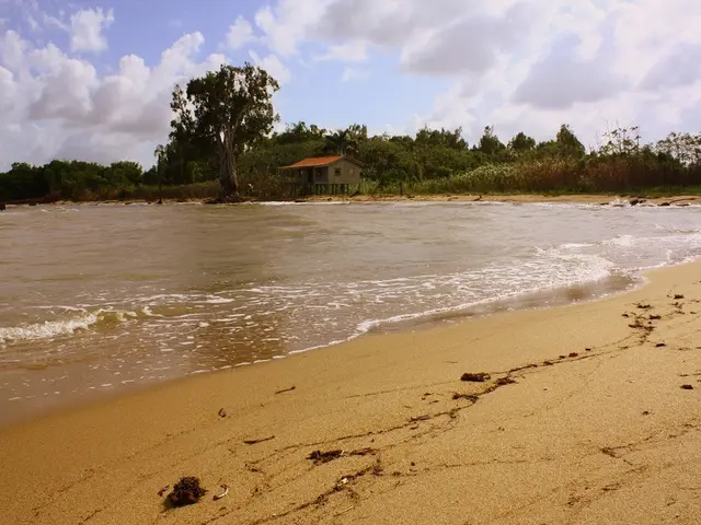 Refurbished 1980s Kent bungalow now boasts a stylish California ambiance