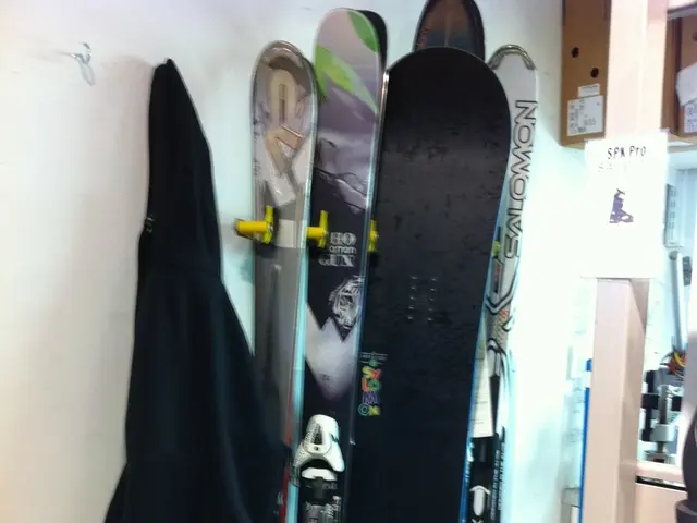 Hiking Sticks or, alternatively, Walking Poles