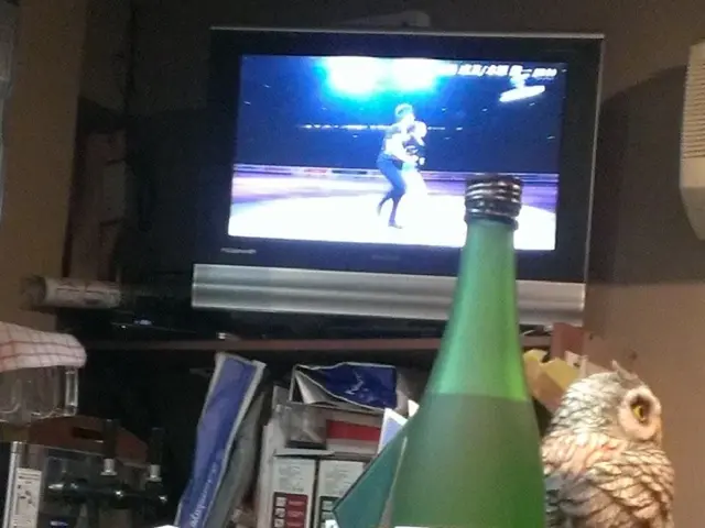 Embroidered Artwork Period Spotlighted: Owl Designs