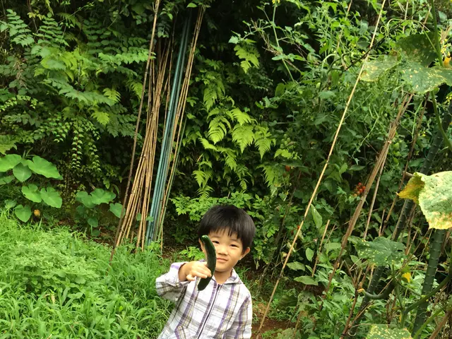 Should You Remove Cucumber Leaves? The Dairy Woman Clarifies Which Ones to Avoid