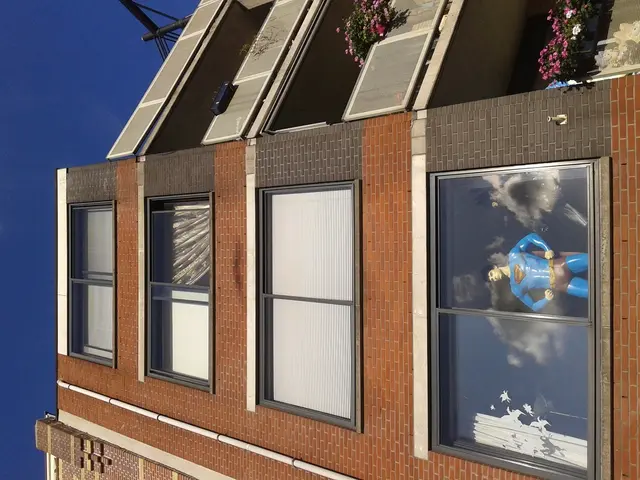 Indoor Plant Guide: Boost Your Home's Health with These Plant Picks