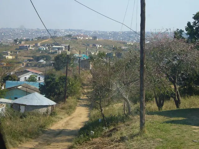 Boosting City Growth and Renovation