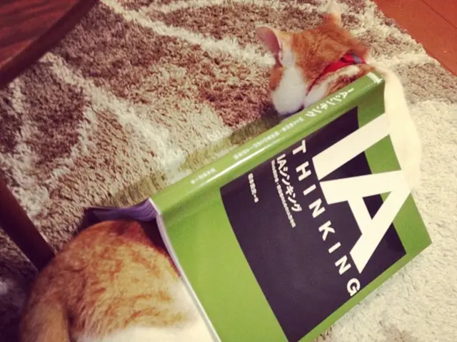 Livelihood centered on evaluating pet goods, and here's a swift, budget-friendly remedy for your...