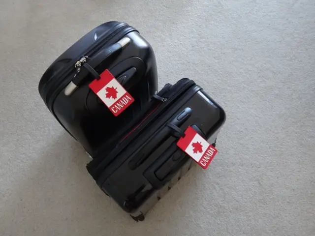 Preferred Vacuum Seal Bags for Food Storage: Exclusively Compostable Option I Embrace