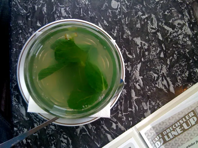 Expanding on the Offering: Merry Mint Tabletop Greenhouse by Gardenuity