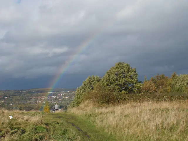 Revelations of the Radiant Downpour