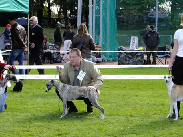 In the Hearth's Embrace: Vibrant Hues Unleashed