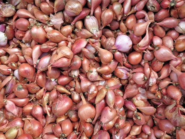 Comprehensive Tutorial on Onion Cultivation and Preservation: Mastering the Art of Growing and...