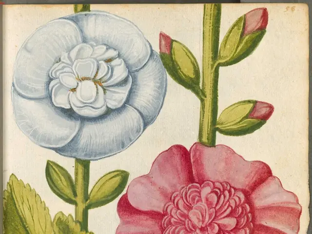 Understanding the Mechanics of Poetry