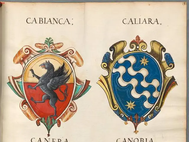 Traces of Animal Paw Prints at Local Location