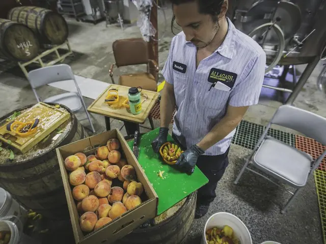 Top 15 Ergonomic Hand Pruners that Ease and Enhance Gardening Comfort