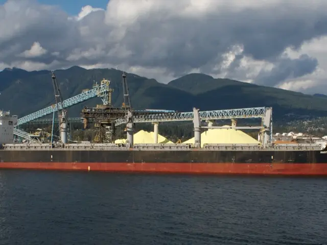 Sunny Day for Sale Available Now